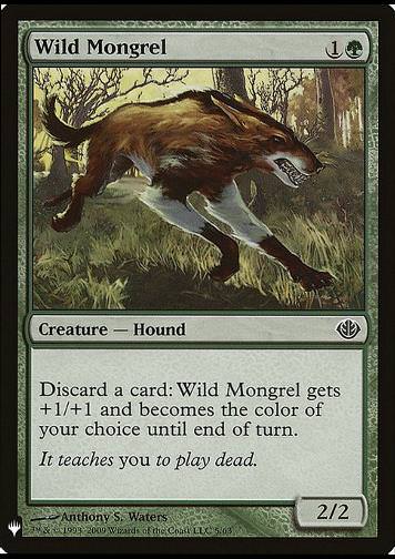 Wild Mongrel (Wilder Mischling)